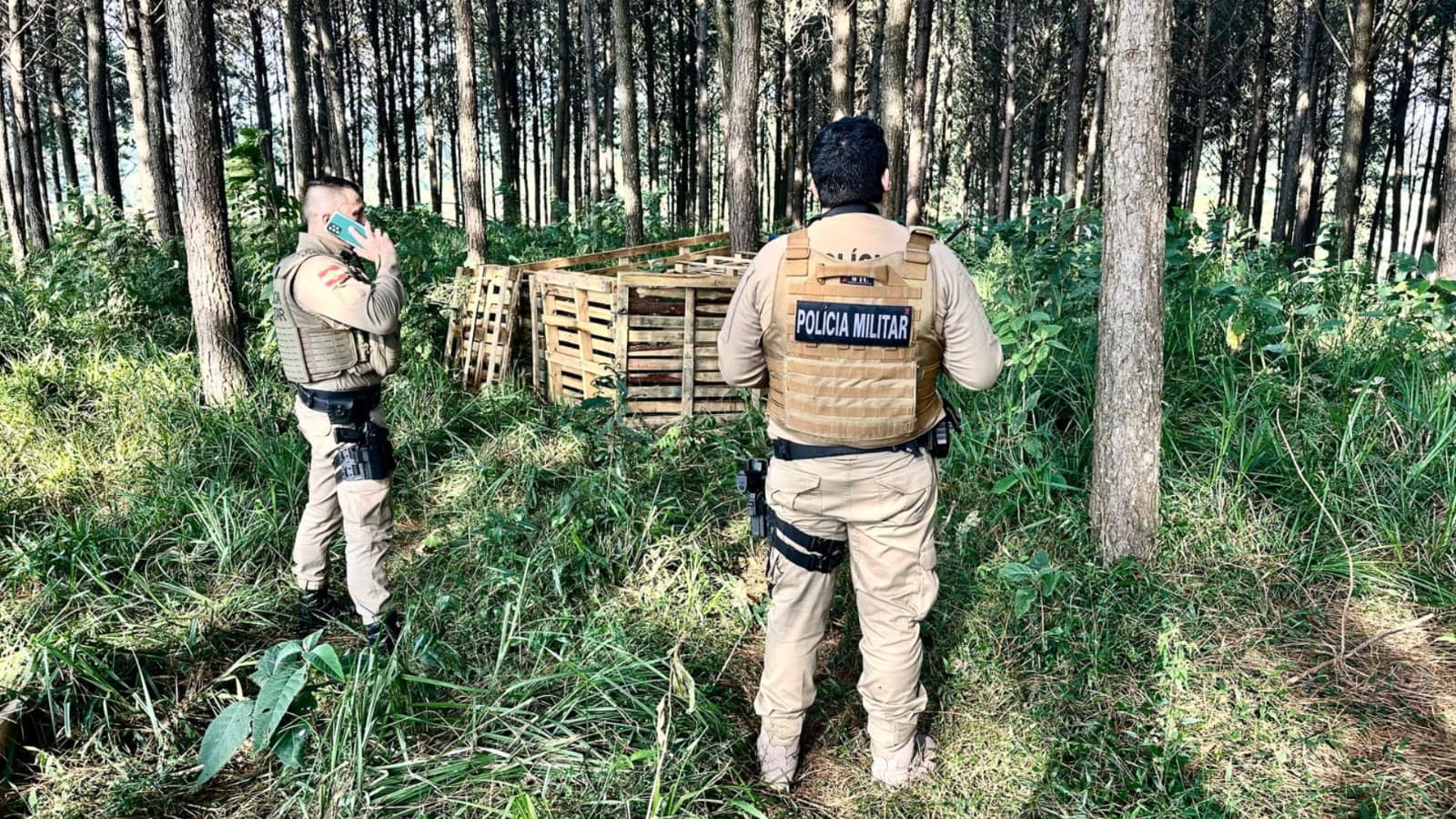 Considerado foragido pela PCPR, homem suspeito de feminicídio em Piên-PR é preso pela PM em São Bento do Sul