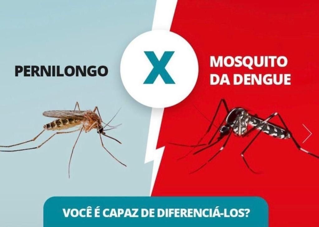 Saiba mais sobre o mosquito transmissor da Dengue.